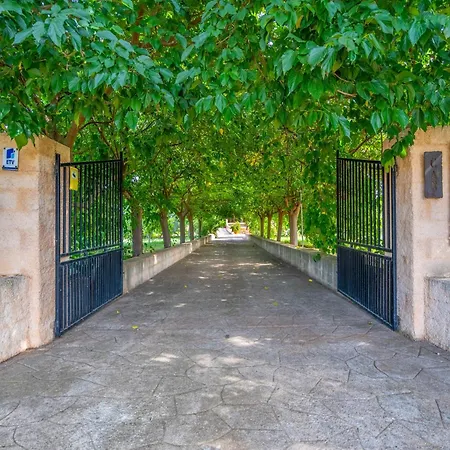 Near Platja De Muro Villa Buger